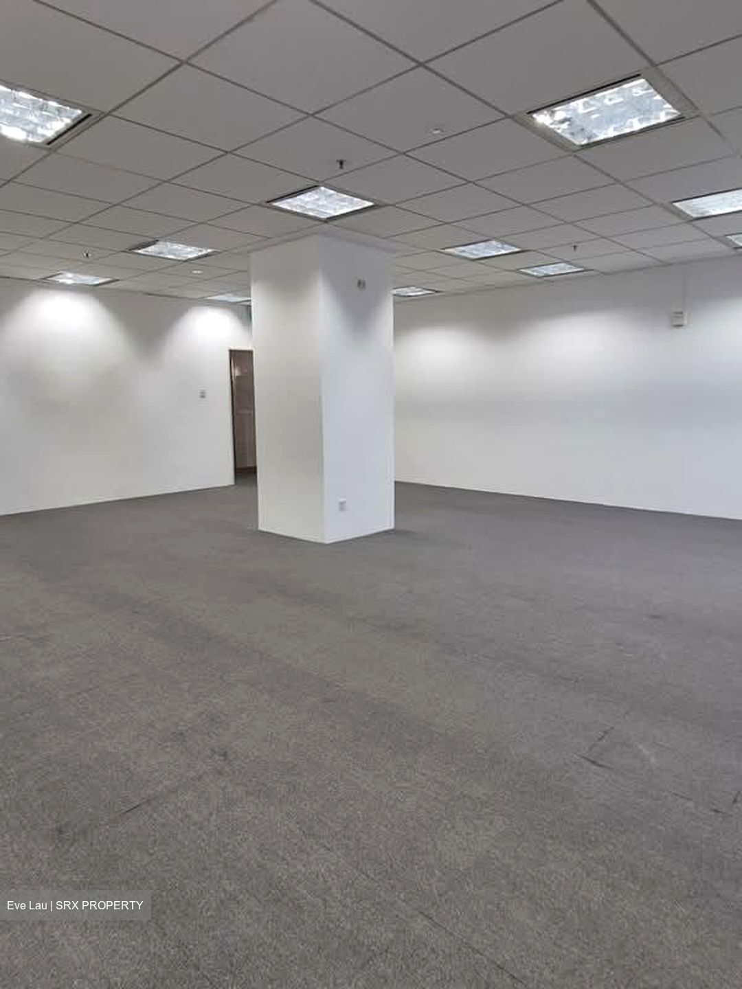 Ngee Ann City (D9), Office #618737651